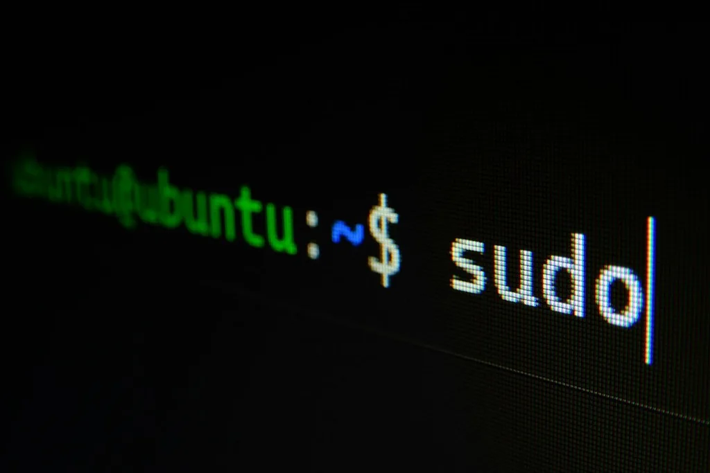 Terminal Linux com o comando sudo digitado no prompt